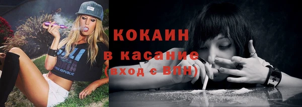 сатива Гусиноозёрск