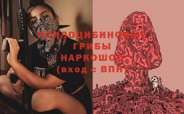 сатива Гусиноозёрск