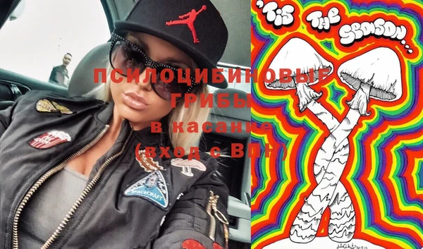 сатива Гусиноозёрск