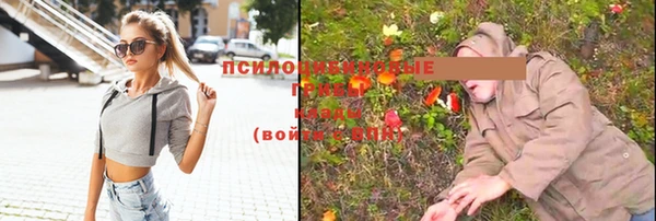 мескалин Гусев