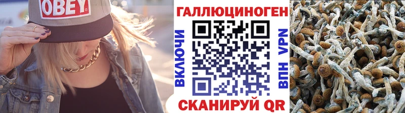 Галлюциногенные грибы ЛСД  omg зеркало  сайты даркнета состав  Дубна 