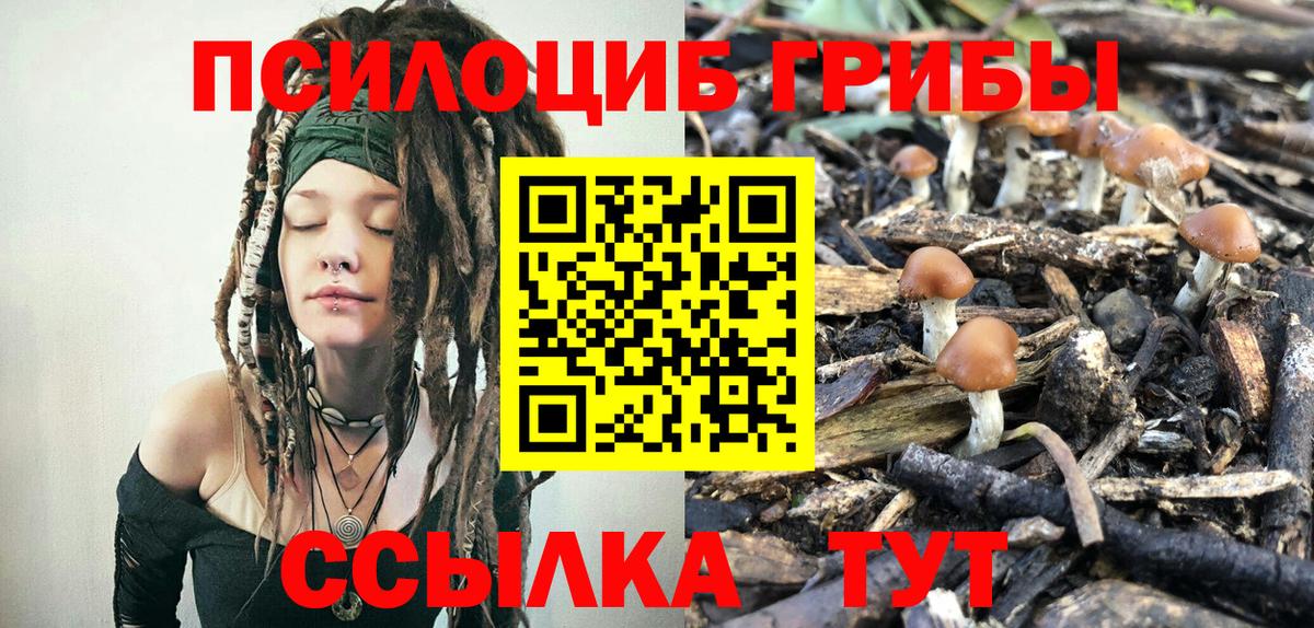 Псилоцибиновые грибы прущие грибы  Вход с VPN  Дубна 