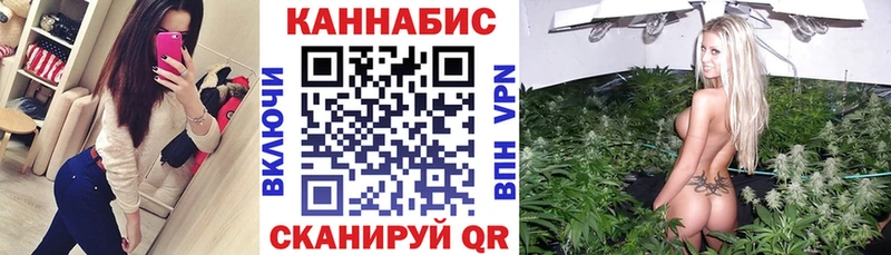 Канабис White Widow  Дубна 